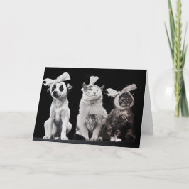 Tarjeta El trío triste, interior en blanco