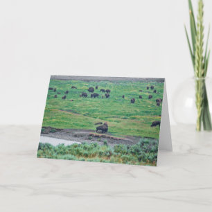 Tarjeta El veneno estadounidense