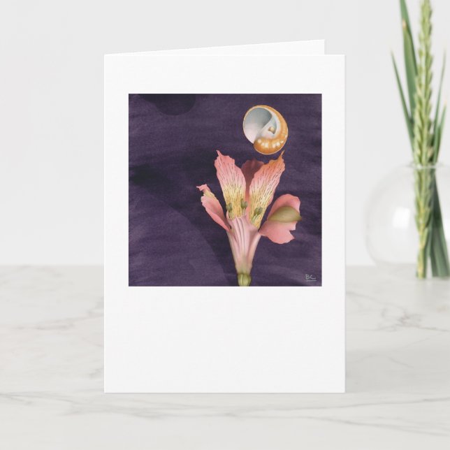 Tarjeta El volar estrellado (Anverso)