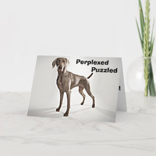 TARJETA ¡EL WEIMARANER ESTÁ PERPLEJO/PUZZLED U R 40!
