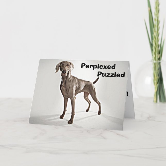 TARJETA ¡EL WEIMARANER ESTÁ PERPLEJO/PUZZLED U R 40! (Anverso)
