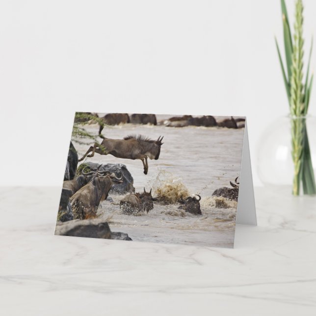 Tarjeta El Wildebeest que salta en el río de Mara durante (Anverso)