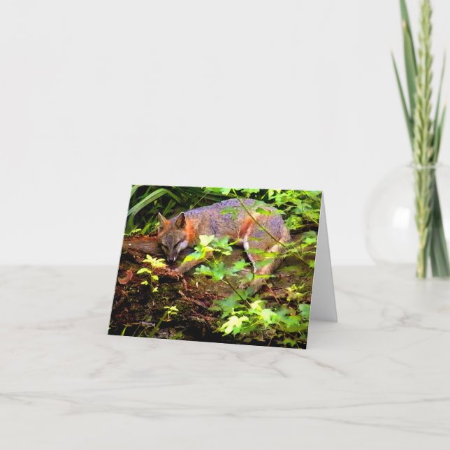 TARJETA EL ZORRO DE LA MAMÁ TOMA UNA SIESTA (Anverso)