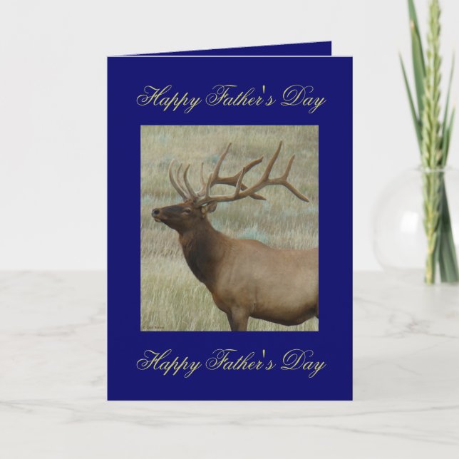 Tarjeta Elca toro E9 en terciopelo (Anverso)