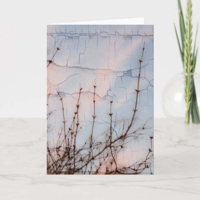 Tarjeta Elder Branches Silhouette (Anverso)