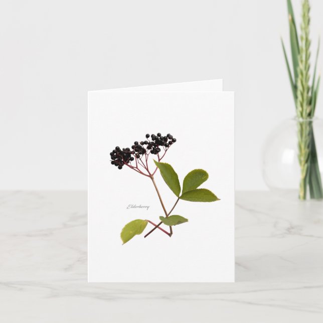Tarjeta Elderberry (Anverso)