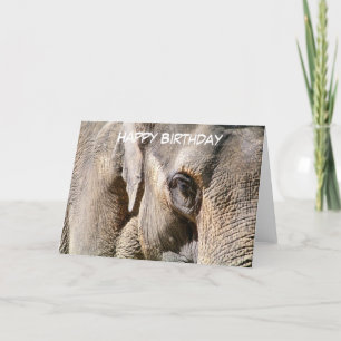 TARJETA ELEFANTE