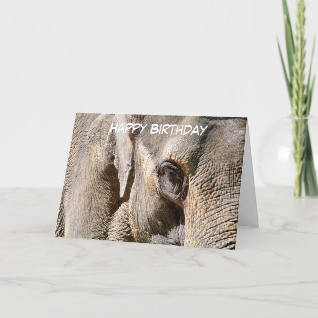 TARJETA ELEFANTE (Anverso)