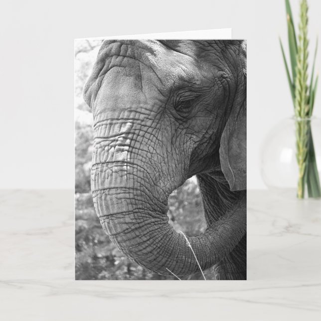 Tarjeta Elefante (Anverso)
