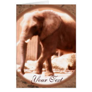 Tarjeta elefante africana