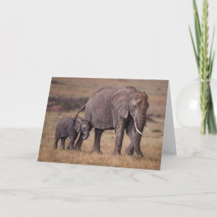Tarjeta Elefante africano con bebé
