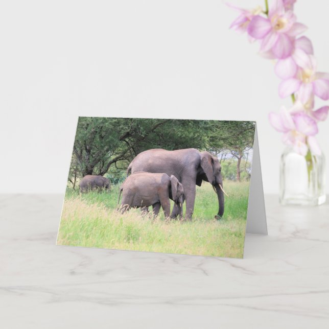 Tarjeta Elefante con terneros y animales salvajes foto (Orquídea)