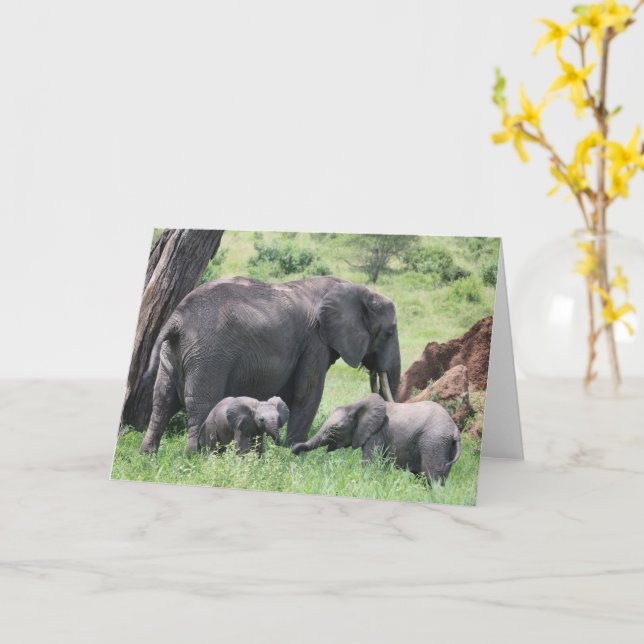 Tarjeta Elefante con terneros y animales salvajes foto (flor amarilla)