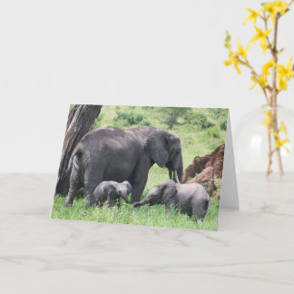 Tarjeta Elefante con terneros y animales salvajes foto