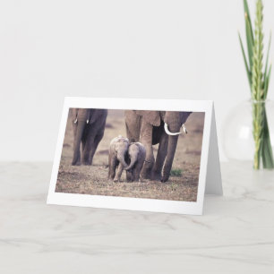 Tarjeta Elefante de los mejores amigos