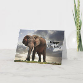 Tarjeta Elefante de vida silvestre