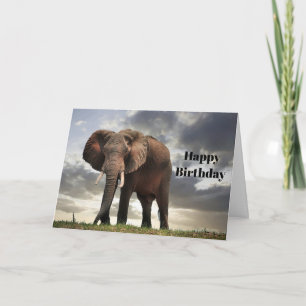 Tarjeta Elefante de vida silvestre