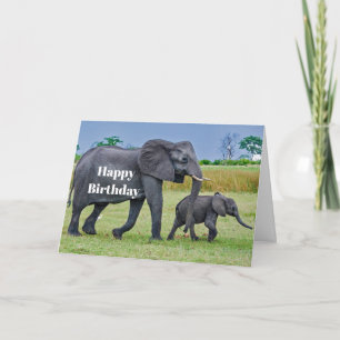 Tarjeta Elefante de vida silvestre Foto Cumpleaños