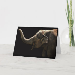 Tarjeta Elefante-En blanco feliz