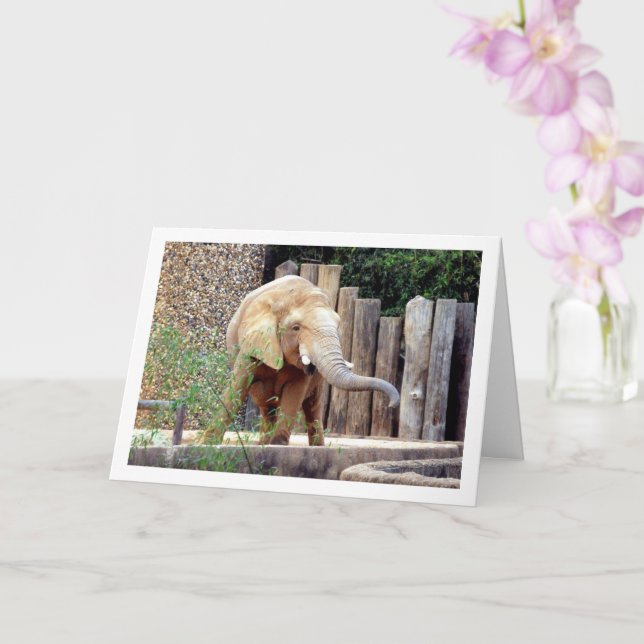 Tarjeta Elefante en el parque (Orquídea)