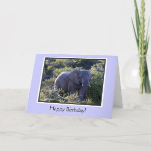 Tarjeta Elefante en los Árboles Feliz cumpleaños