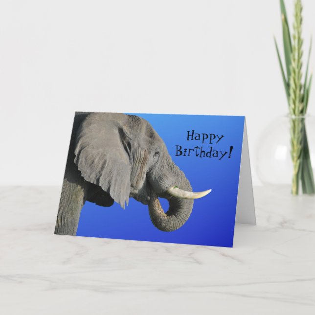 Tarjeta Elefante Feliz cumpleaños, divertida edad, azul y  (Anverso)