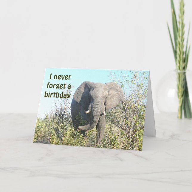 Tarjeta ELEFANTE "nunca olvido NACIMIENTO de /BELATED de (Anverso)