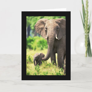 Tarjeta Elefante y bebé