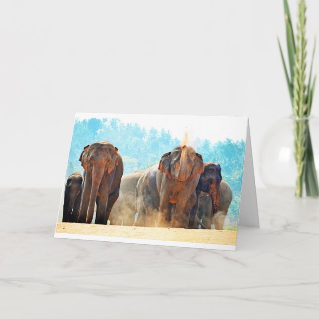 Tarjeta Elefantes Animales Safari Destruyen Amor por la Pa (Anverso)