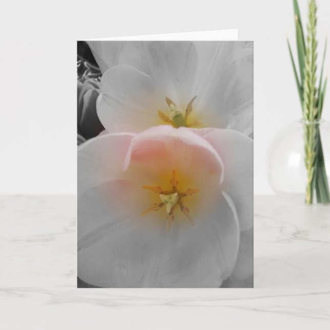 Tarjeta Elegancia (Anverso)
