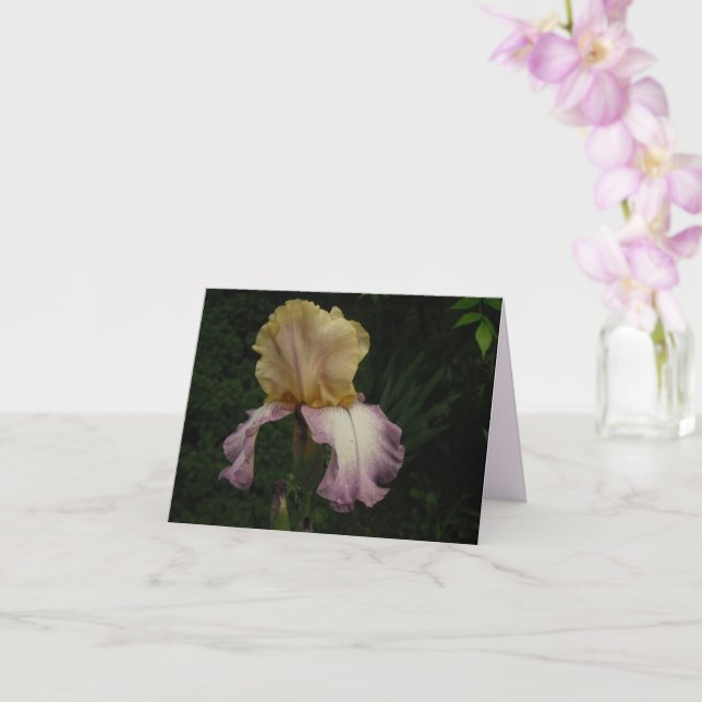 Tarjeta Elegante Crema Púrpura Iris Floral Foto (Orquídea)