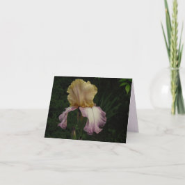 Tarjeta Elegante Crema Púrpura Iris Floral Foto