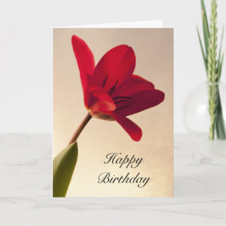 Tarjeta Elegante cumpleaños de tulipanes rojos