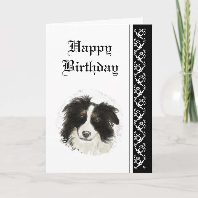 Tarjeta Elegante cumpleaños, Mascota de Perro Collie Front (Anverso)