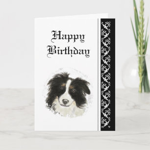 Tarjeta Elegante cumpleaños, Mascota de Perro Collie Front
