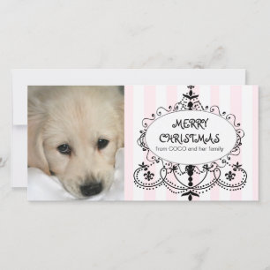 Tarjeta elegante de la foto del navidad del perro