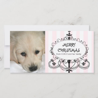 Tarjeta elegante de la foto del navidad del perro