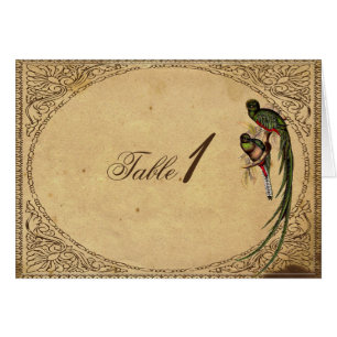 Tarjeta elegante del número de la tabla del pájaro