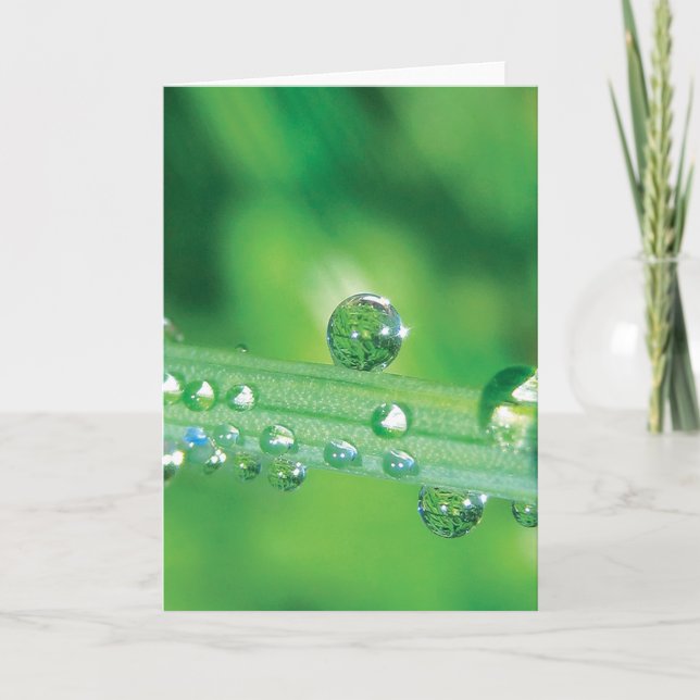Tarjeta Elegante Dew Drop Note Card con Poema (Anverso)