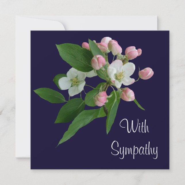 Tarjeta Elegante flor de flores de flores blancas simpatía (Anverso)