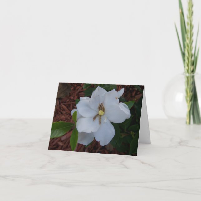Tarjeta Elegante flor de gardenia blanca en una (Anverso)