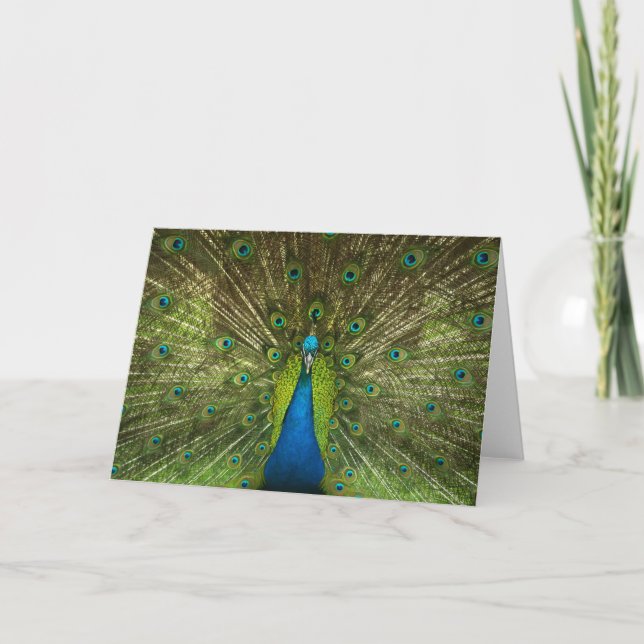 Tarjeta Elegante foto de plumas verdes azules de pavo real (Anverso)