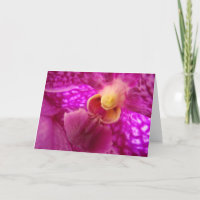 Elegante foto gráfica de orquídeas