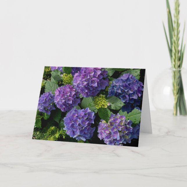 Tarjeta Elegante magenta púrpura azul verde hidrangea flor (Anverso)