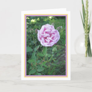 Tarjeta Elegante marco dorado de foto Rosa rosado púrpura