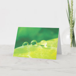 Tarjeta Elegante, mocoso, historias en poesía natural