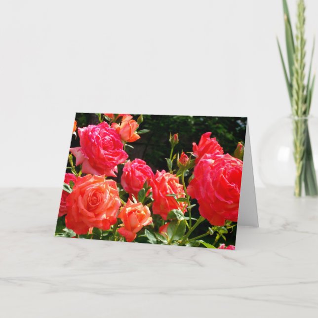 Tarjeta Elegante naranja rojo rosas de coral rosa jardín (Anverso)