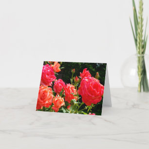 Tarjeta Elegante naranja rojo rosas de coral rosa jardín