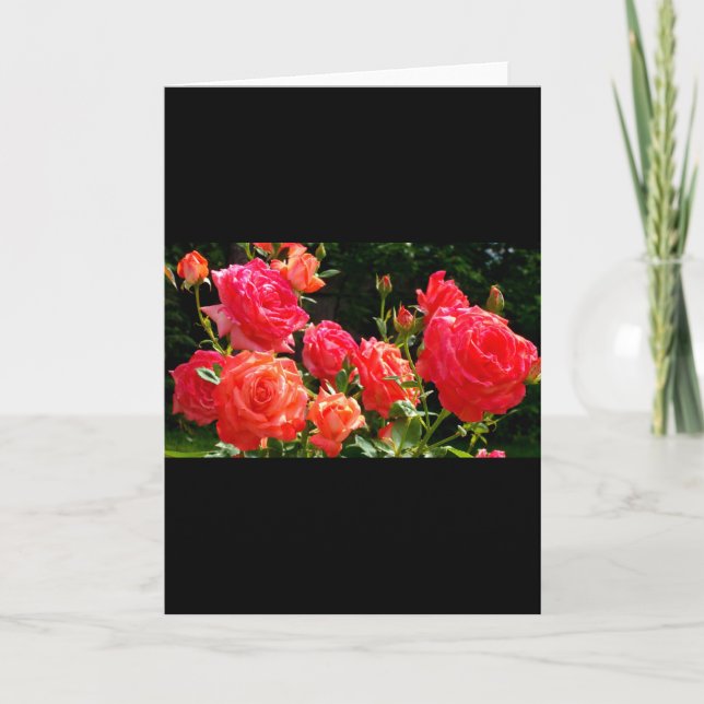Tarjeta Elegante naranja rojo rosas de coral rosa jardín (Anverso)