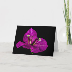 Tarjeta Elegante Purple Bougainvillea